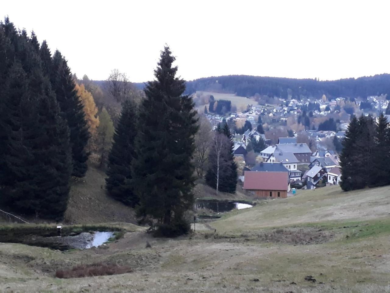 Pension Waldidyll Stützerbach Buitenkant foto
