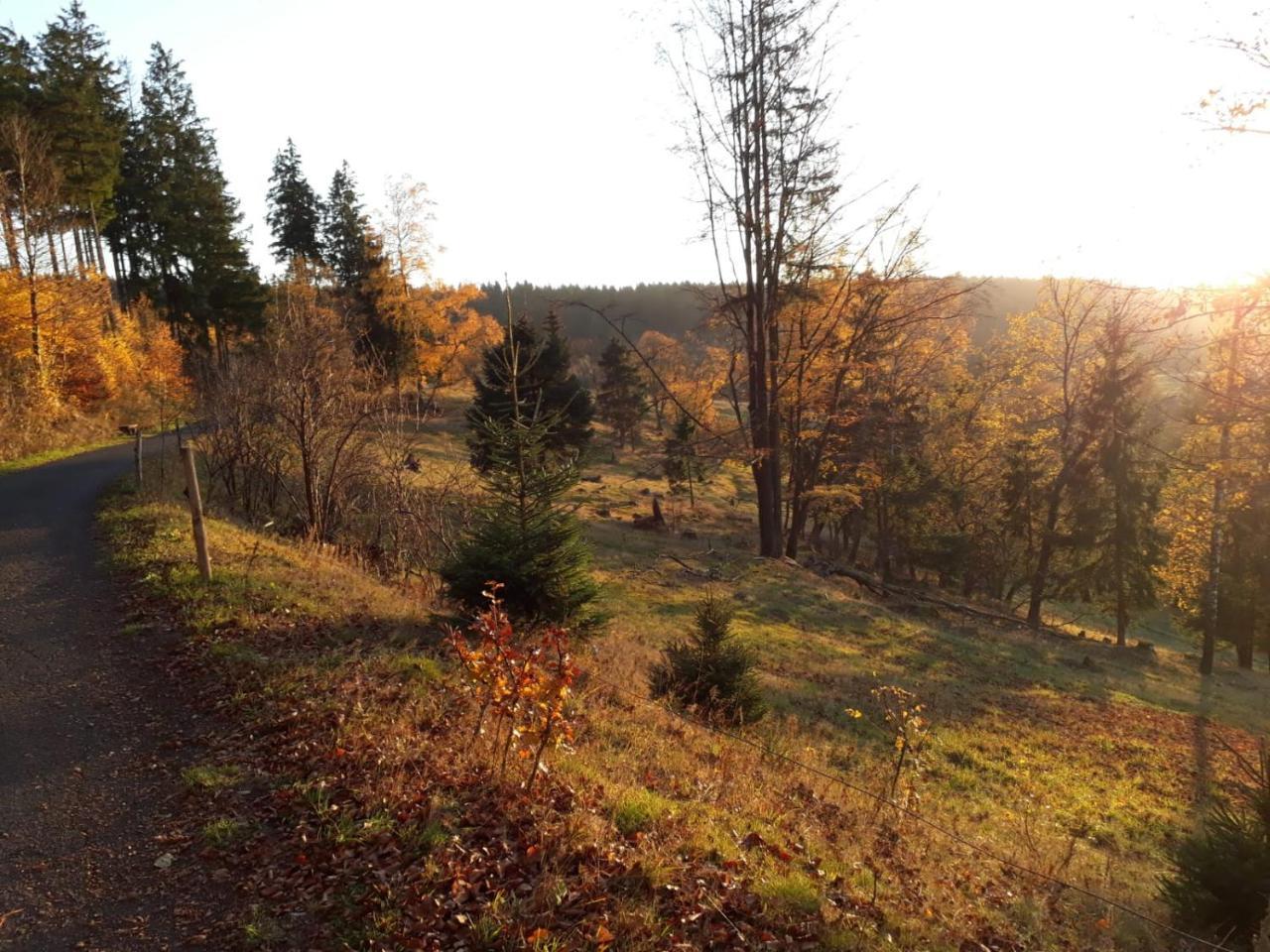 Pension Waldidyll Stützerbach Buitenkant foto