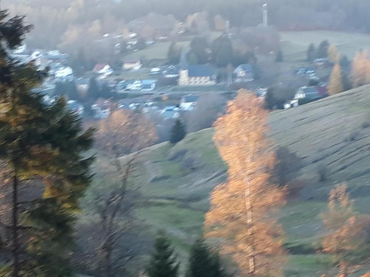 Pension Waldidyll Stützerbach Buitenkant foto
