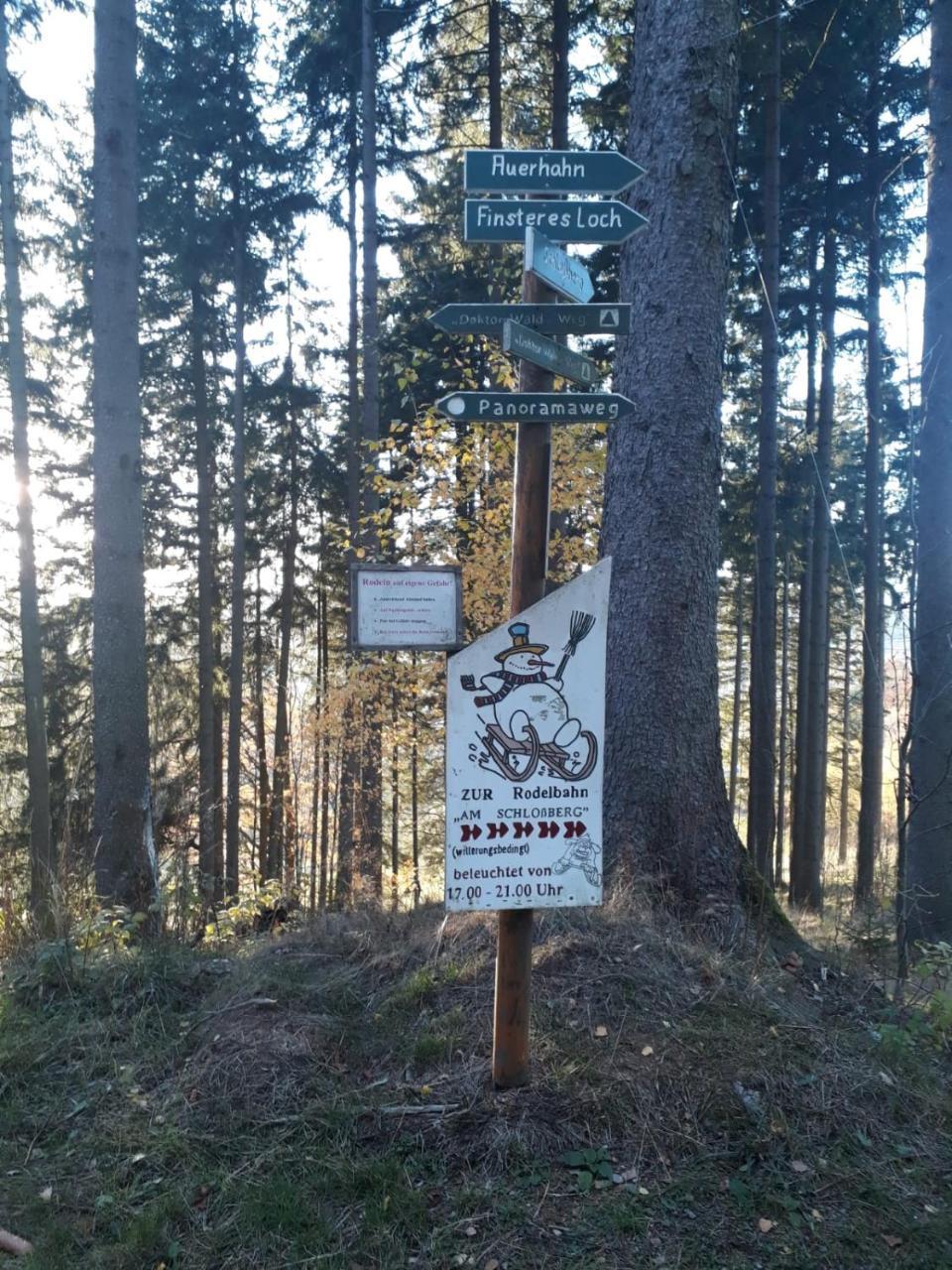Pension Waldidyll Stützerbach Buitenkant foto
